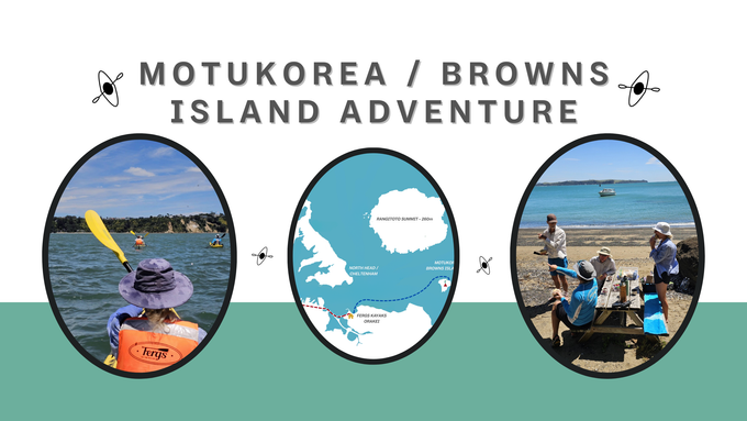 Motukorea / Browns Island Adventure