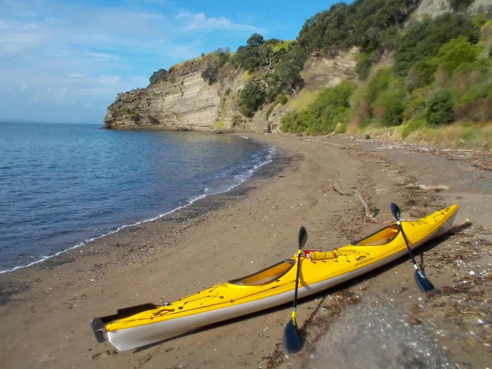 Motukorea / Browns Island Adventure