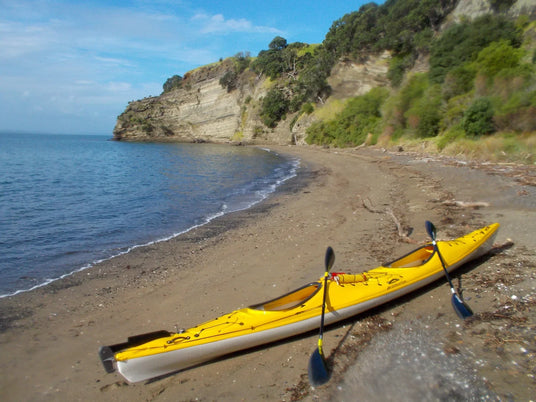 Motukorea / Browns Island Adventure