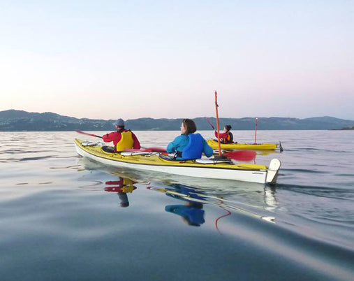 Harbour Adventure