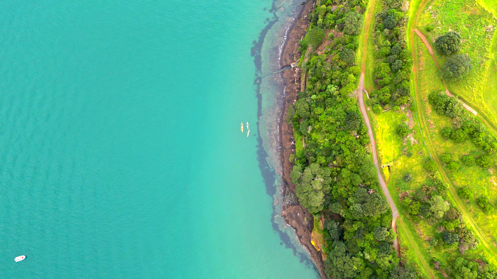 Kayak Tours